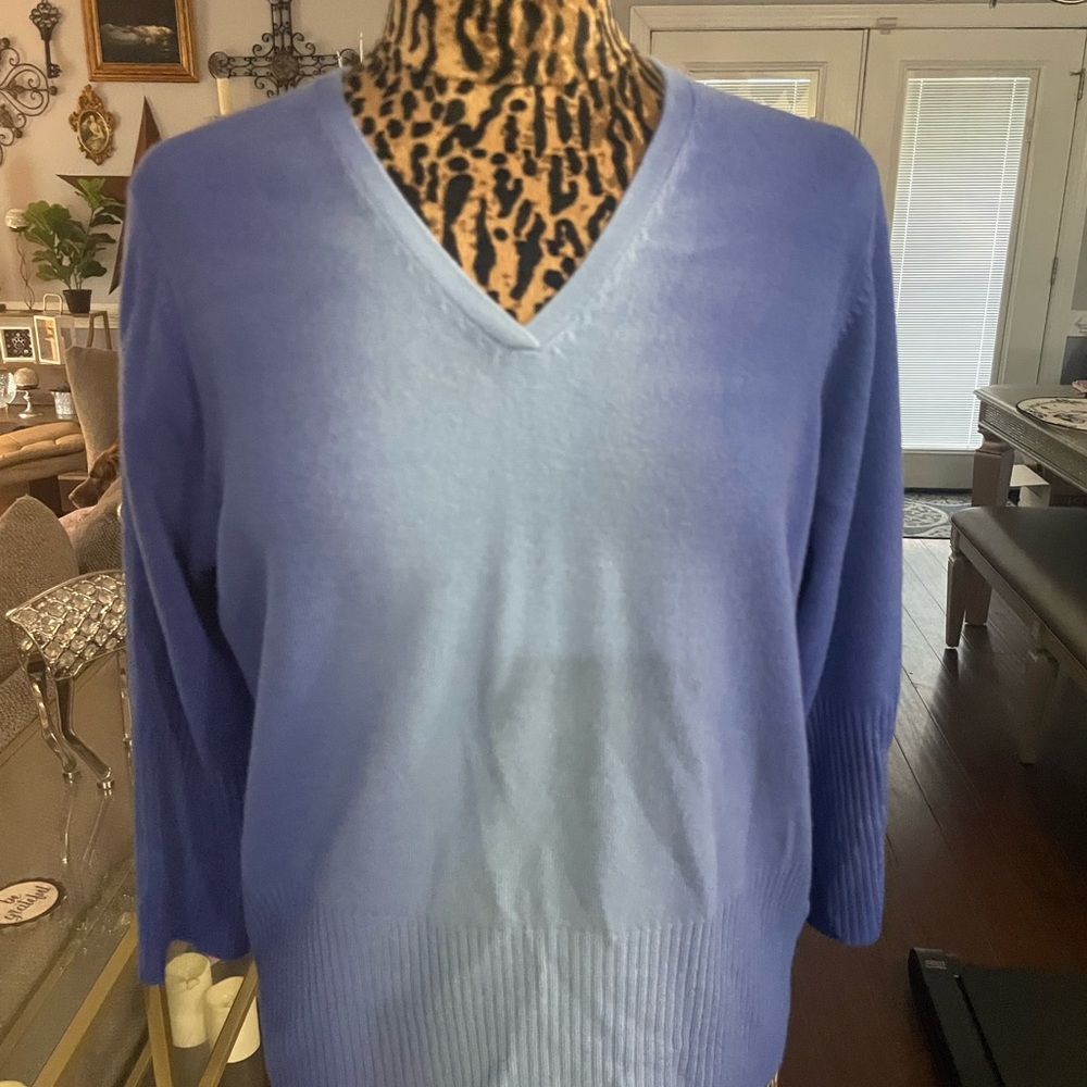 Carolyn Taylor Men's Light Blue V-Neck Sweater